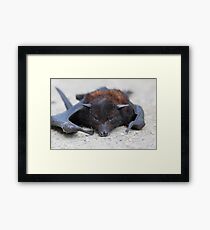 Victim Framed Print