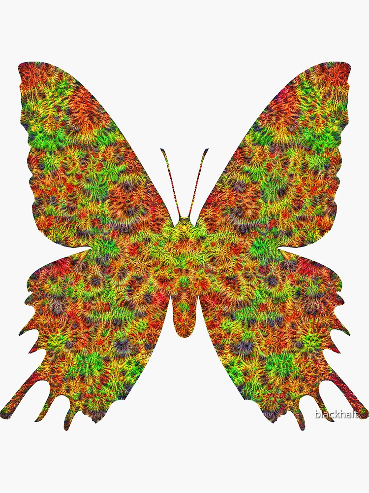 Butterfly by blackhalt