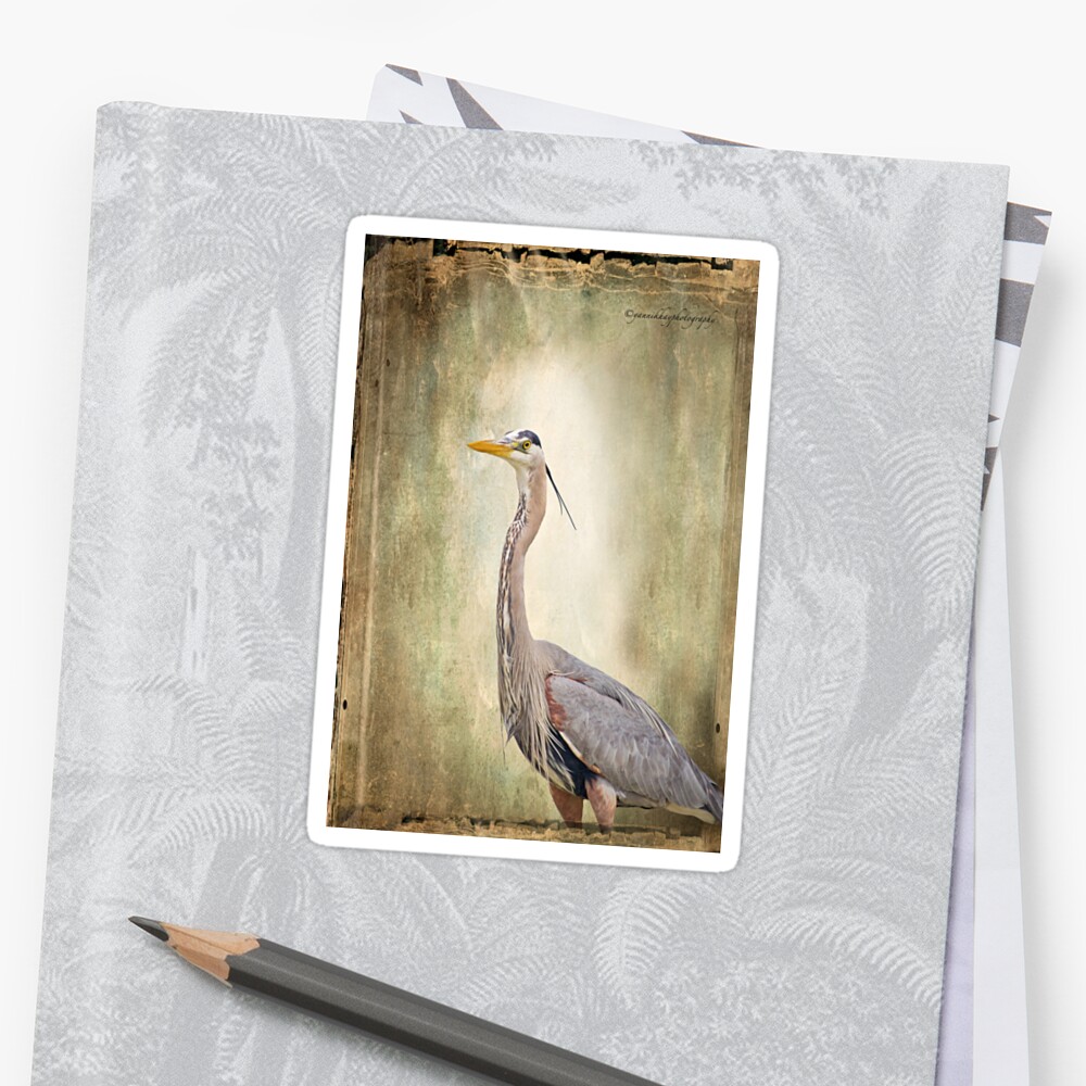 "Great Blue Heron" Sticker by Photograph2u Redbubble