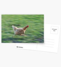gtg chicken Postcards