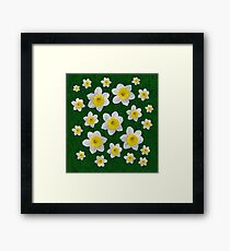 Spring Daffodils Framed Print