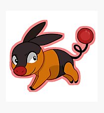 Tepig Photographic Print
