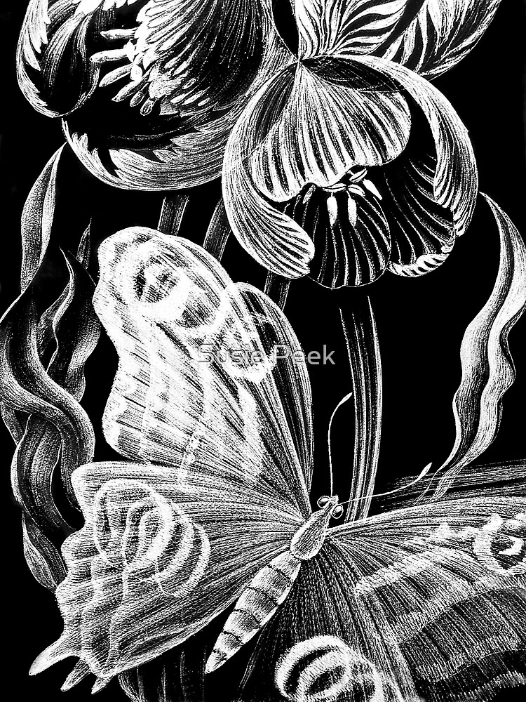 "Butterfly & Flower Etchings" by Susie Peek Redbubble