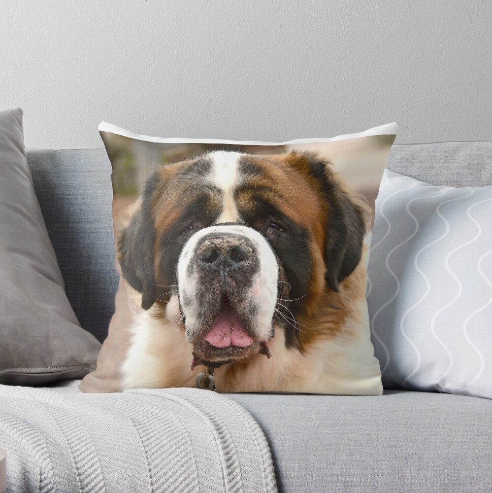 saint bernard pillow