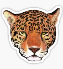 Pegatina Jaguar