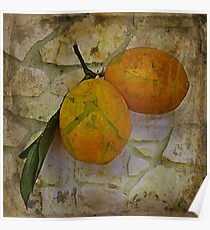 Bitter Lemons Poster