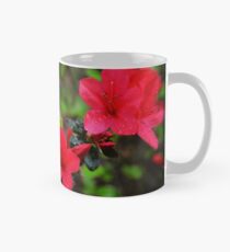Red Azaleas Spring 2016 Mug