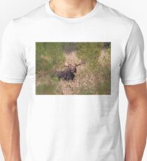 Moose in rut - Algonquin Park, Canada Unisex T-Shirt