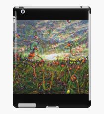 DeepDream Pictures, Landscapes 001 (Traumgeschoepfe) iPad Case/Skin