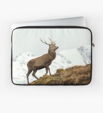 Red Deer Stag in Winter Laptop Sleeve