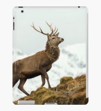 Red Deer Stag in Winter iPad Case/Skin