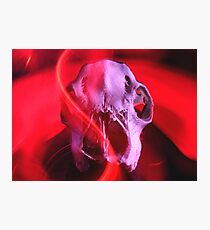 Deer of Synthwave Photographic Print