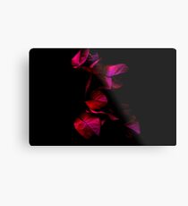 Purple Passion Metal Print