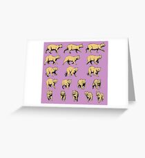 Turning Cat Greeting Card
