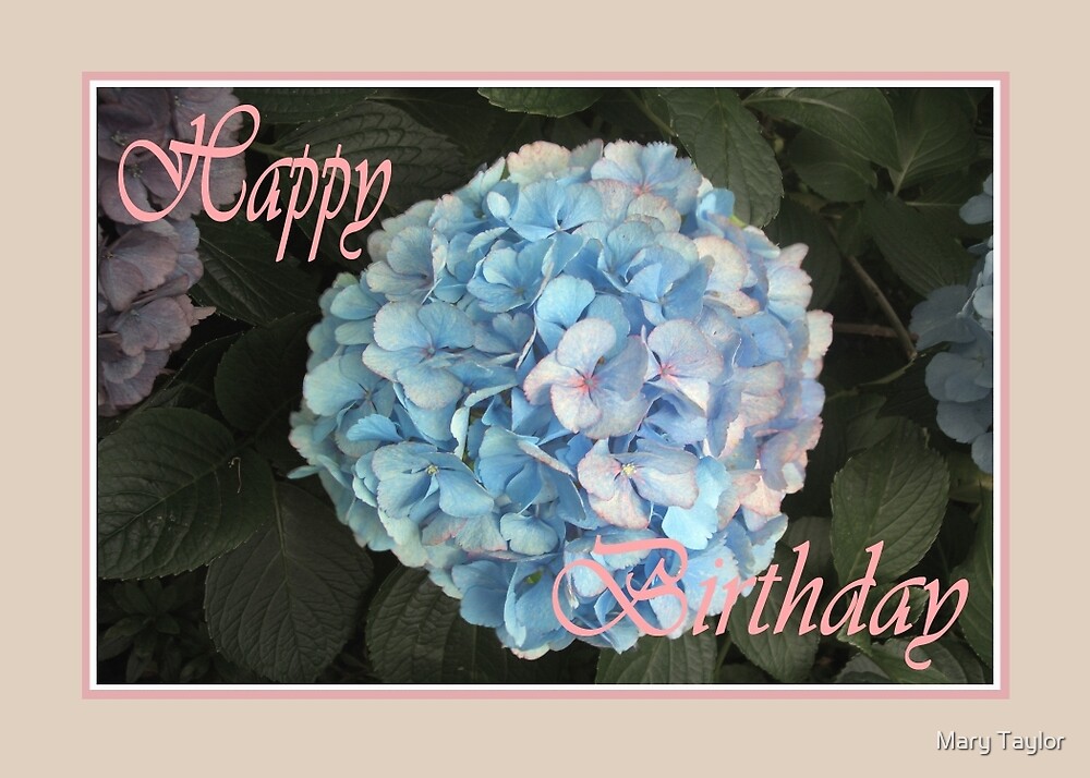 “Blue Hydrangea, Happy Birthday” by Mary Taylor | Redbubble