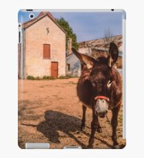 Getting His Back Up iPad Case/Skin