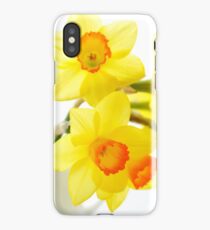 Narcissus iPhone Case/Skin