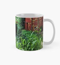 Decayed Mug