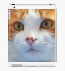 A Cat Named Rattus iPad Case/Skin