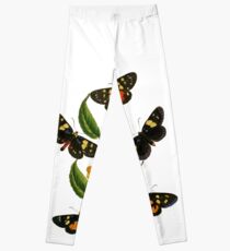 FF - Butterfly-2 Leggings