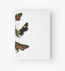 FF - Butterfly-2 Hardcover Journal