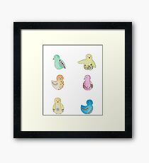 Birds Framed Print