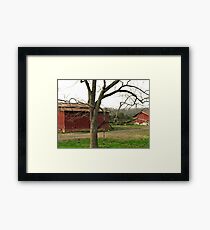 "Twisted All About, Naturally"... prints and products Framed Print