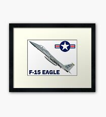 F-15C Eagle 94th Fighter Squadron USAF Framed Print