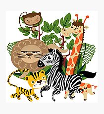 Wild Animals Zoo Animals Giraffe Zebra Lion Photographic Print