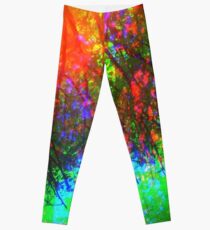 Under The Canopy Leggings