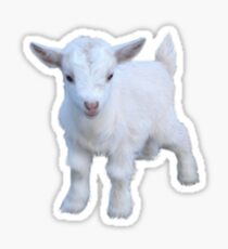 Goat Sticker Sticker