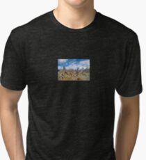 Alpine Zermat Tri-blend T-Shirt