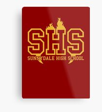 BTS SDHS Metal Print