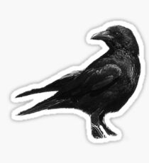 Black Crow Sticker