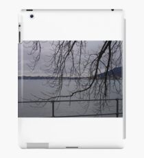 Almost Winter iPad Case/Skin