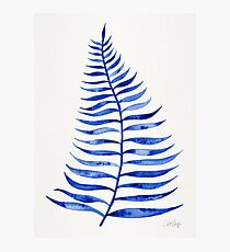 Navy Palm Leaf Photographic Print
