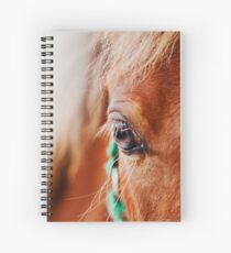 Miniature Brown Horse Filly Eye Golden Mane Teal Bridle Spiral Notebook
