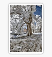 Infrared Creek Sticker