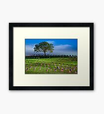 Some Gave All Framed Print