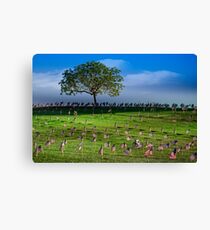 Some Gave All Canvas Print