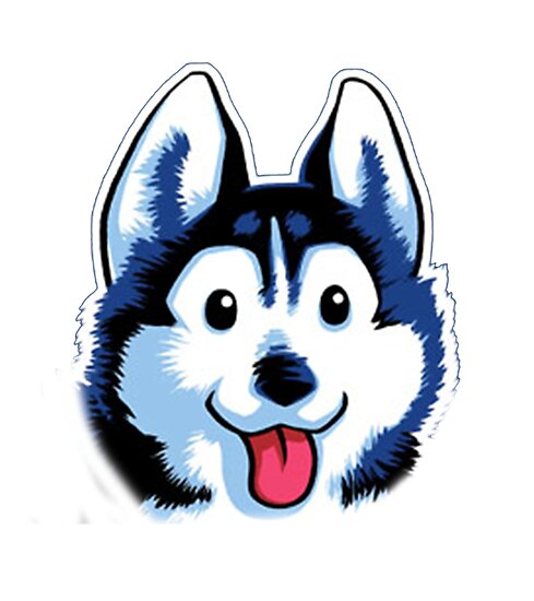 "Cartoon Husky" Photographic Print by Irrational-Art | Redbubble