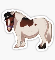 Pinto mini-pony sticker Sticker