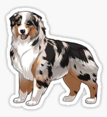 Merle Aussie sticker Sticker
