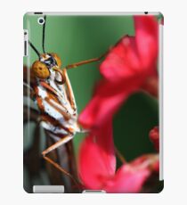 Macro Photo Passion Butterfly iPad Case/Skin