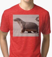 Sealion Cub Tri-blend T-Shirt