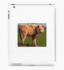 The Watching Wolf iPad Case/Skin