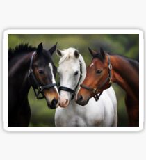 Three friends Sticker