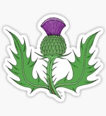 Thistle Sticker