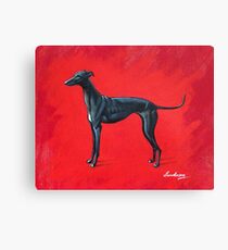 Black Greyhound Canvas Print