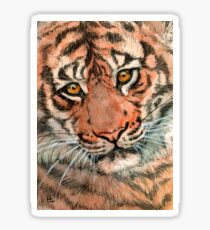 Tiger portrait 884 Sticker